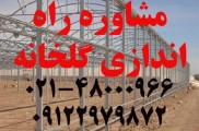 مشاوره ساخت طراحی و راه اندازی گلخانه